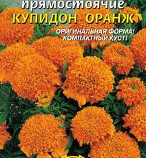 Семена Цветы Бархатцы Купидон оранжевый, махровые, прямостоячик (0,5г)