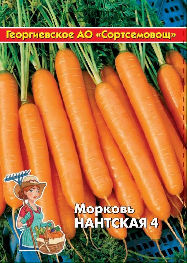 Семена Морковь  Нантская (2г)бел.пак. (ПТК) среднеспелый