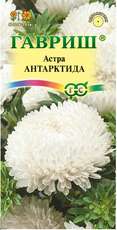 Семена Цветы Астра Большая хризантема ,смесь 50шт
